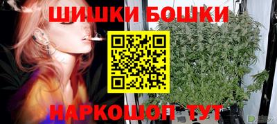 гашик Донской