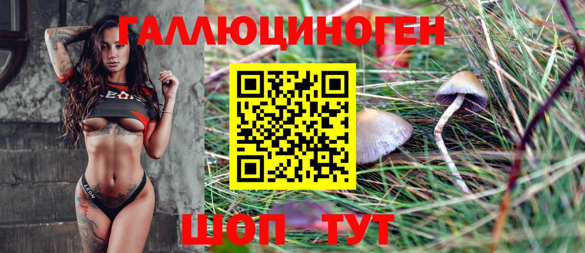 Мирный  Псилоцибиновые грибы Magic Shrooms  Псилоцибиновые грибы мухоморы  Вход с VPN 